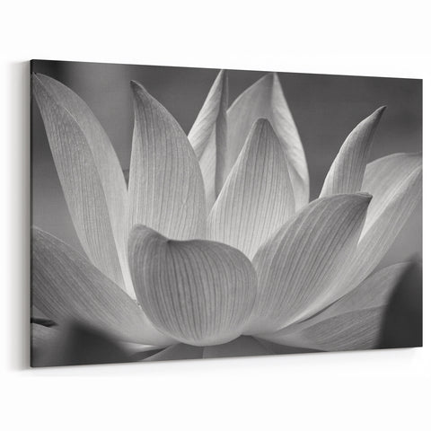 Elegant Black & White Floral Wall Art - Botanical Nature Close-Up Prints