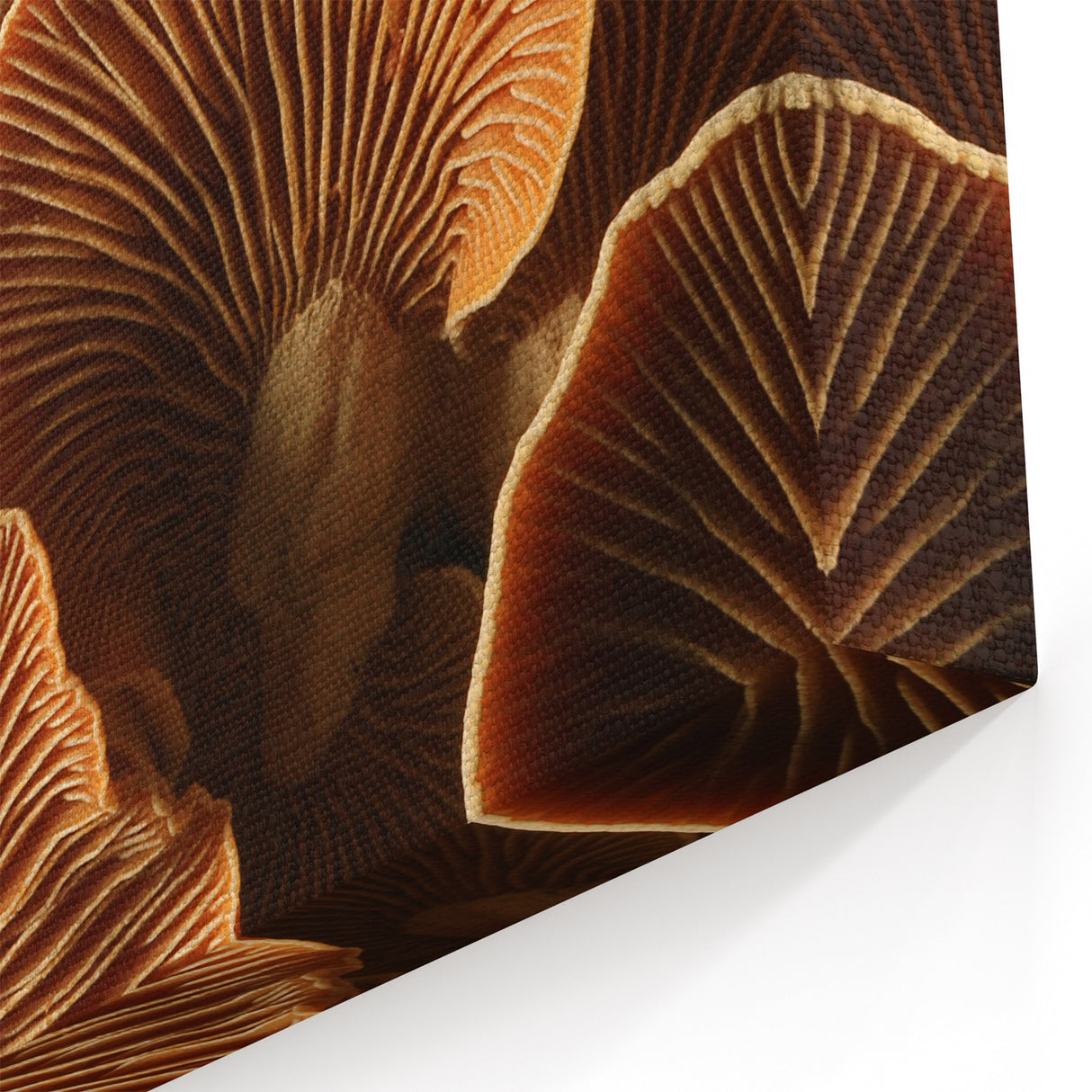Rustic Mushroom Floral Wall Art | Nature Close-Up Botanical Canvas Art