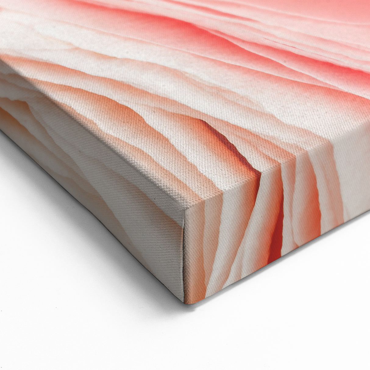 Delicate Floral Wall Art: Nature Close-Up of Blooming Petals on Canvas