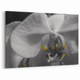 Monochrome Orchid Wall Art: Black and White Floral Canvas with Yellow Accent