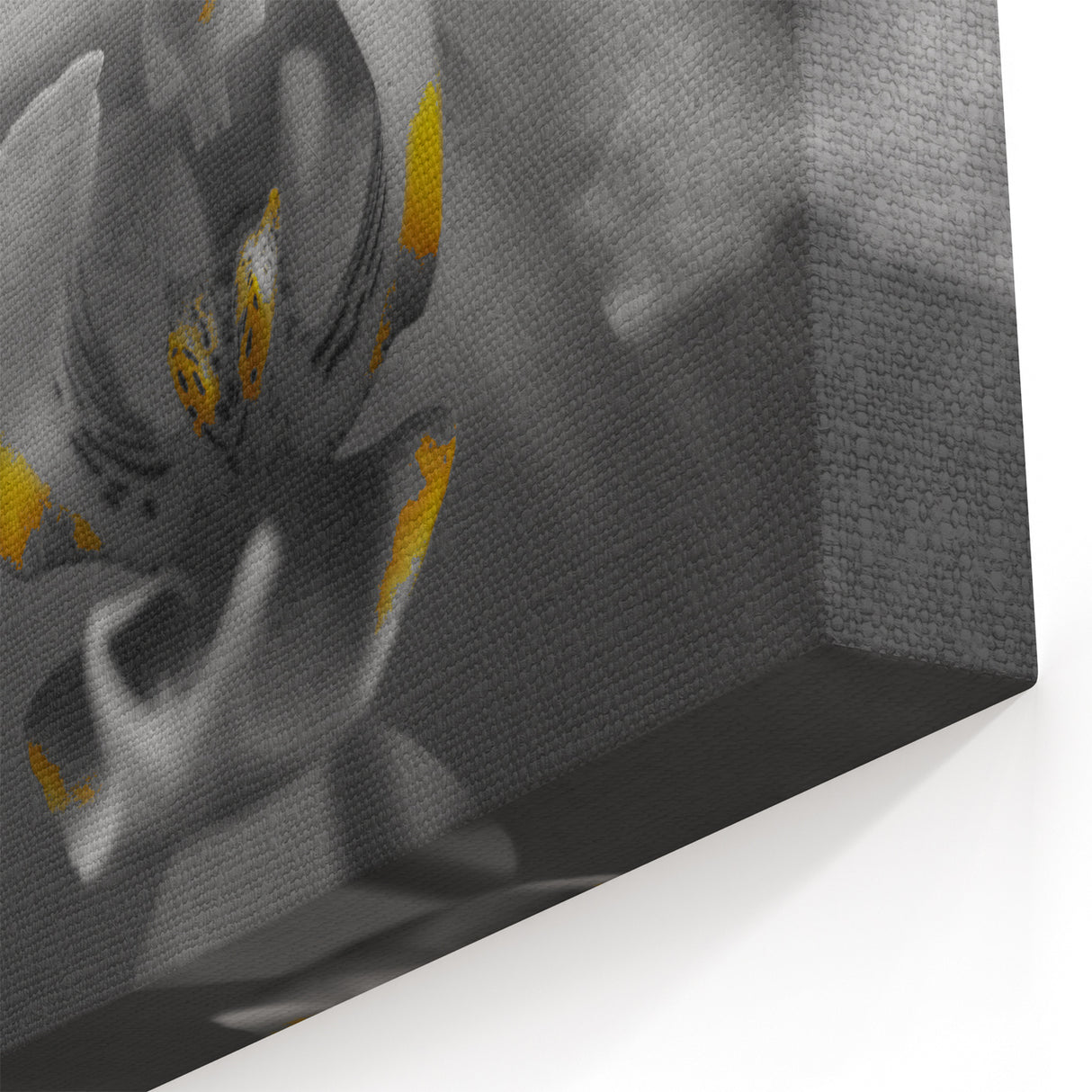 Monochrome Orchid Wall Art: Black and White Floral Canvas with Yellow Accent