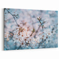 Blossoming Spring Floral Wall Art: Nature Close-Up of Cherry Blossoms Canvas