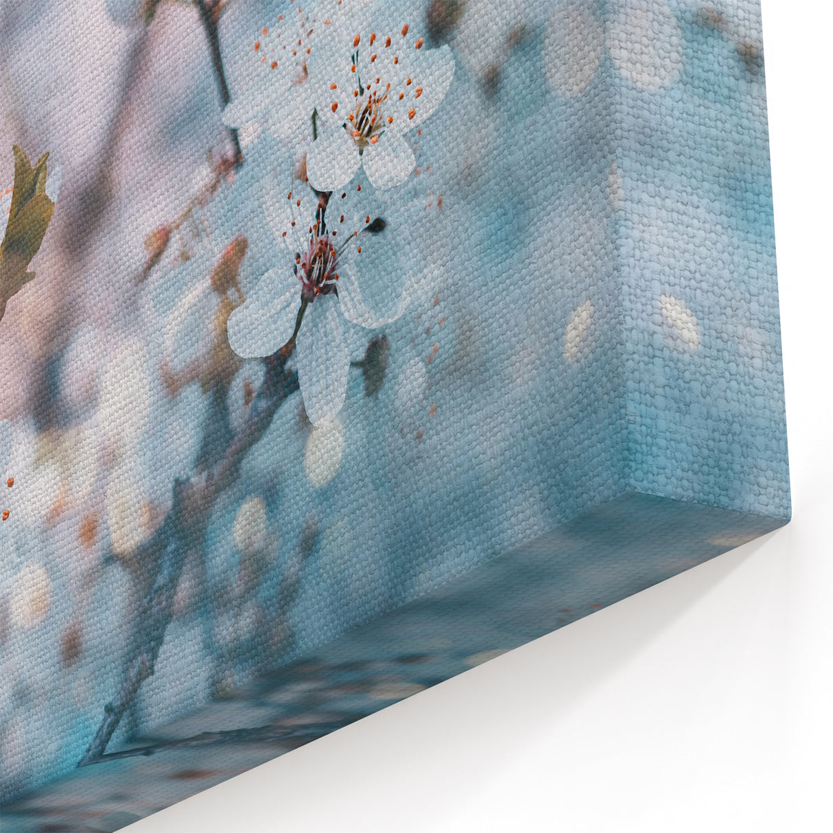 Blossoming Spring Floral Wall Art: Nature Close-Up of Cherry Blossoms Canvas