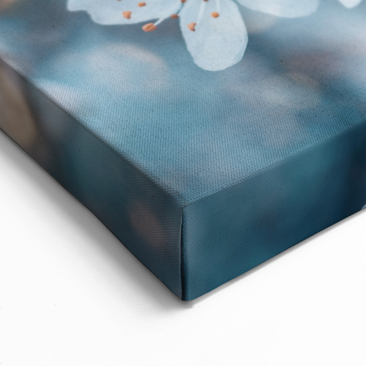 Blossoming Spring Floral Wall Art: Nature Close-Up of Cherry Blossoms Canvas
