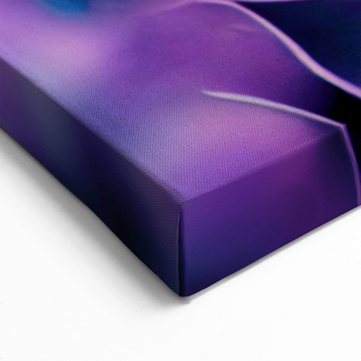 Vibrant Purple Floral Wall Art: Close-Up of Bold Blossoming Flowers Canvas