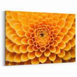 Golden Floral Wall Art: Vibrant Nature-Inspired Botanical Close-Up Print