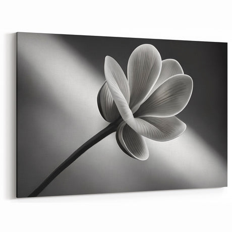 Monochrome Floral Wall Art: Elegant Black and White Nature-Inspired Print