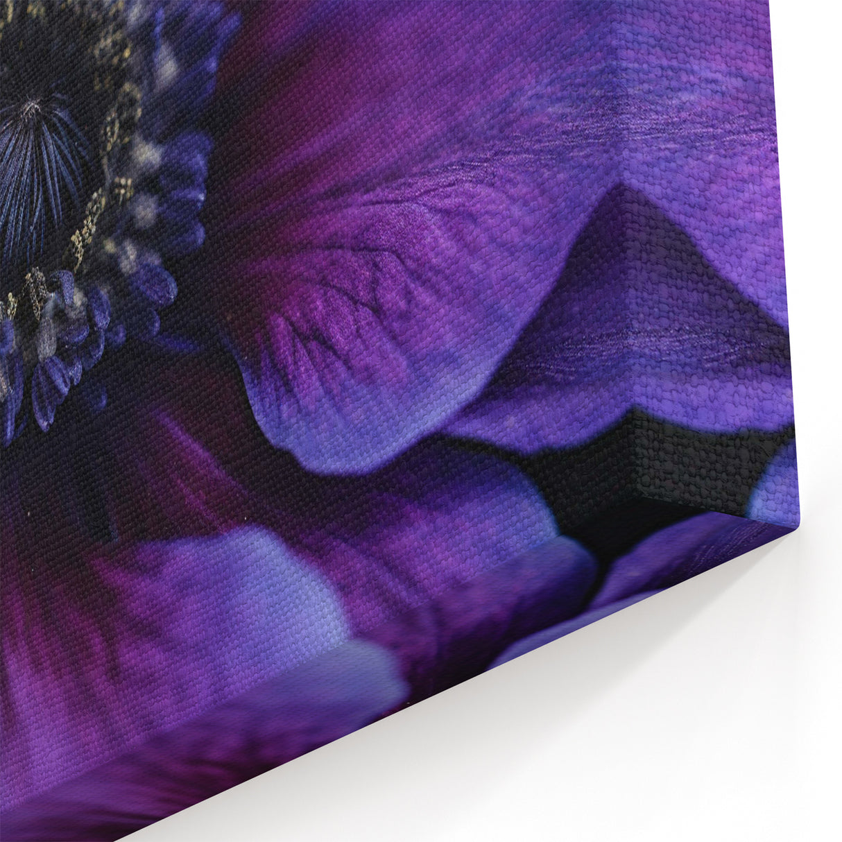 Vivid Purple Floral Wall Art: Botanical Close-Up Nature Canvas Print