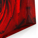 Vibrant Red Rose Floral Wall Art - Nature Close-Up Flower Canvas Decor