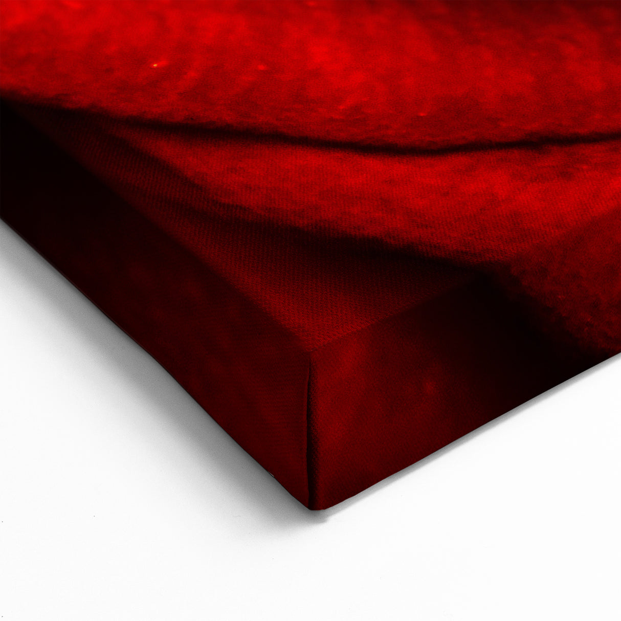 Vibrant Red Rose Floral Wall Art - Nature Close-Up Flower Canvas Decor