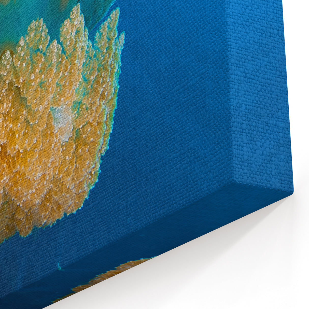 Haitian Coastal Scenes - Island Paradise Art Featuring Underwater Life