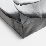 Elegant Water Lily Painting – Black & White Floral Canvas Wall Art Decor
