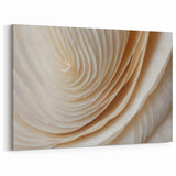 Layered Floral Wall Art - Cream Petals Close-Up Botanical Decor