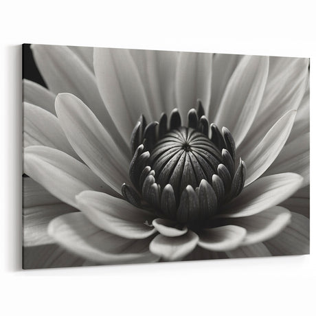Black and White Floral Wall Art - Monochrome Flower Close-Up Decor