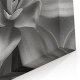 Monochrome Botanical Wall Art - Succulent Close-Up for Modern Decor
