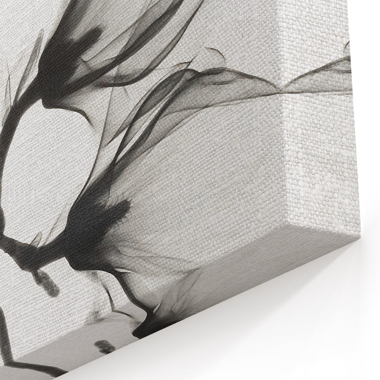 Elegant Black & White Floral Wall Art - Minimalist Flower Photography
