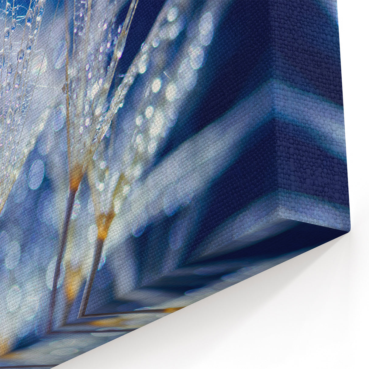 Delicate Water Droplets on Dandelion - Nature Close-Up Wall Art Decor