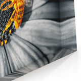 Bee on Flower Wall Art - Vibrant Nature Close-Up for Modern Decor