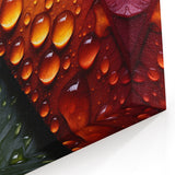 Vibrant Autumn and Green Leaves with Water Droplets - Nature Wall Art