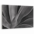 Monochrome Botanical Wall Art - Close-Up Plant Photography for Decor