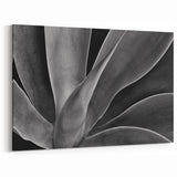 Monochrome Botanical Wall Art - Close-Up Plant Photography for Decor