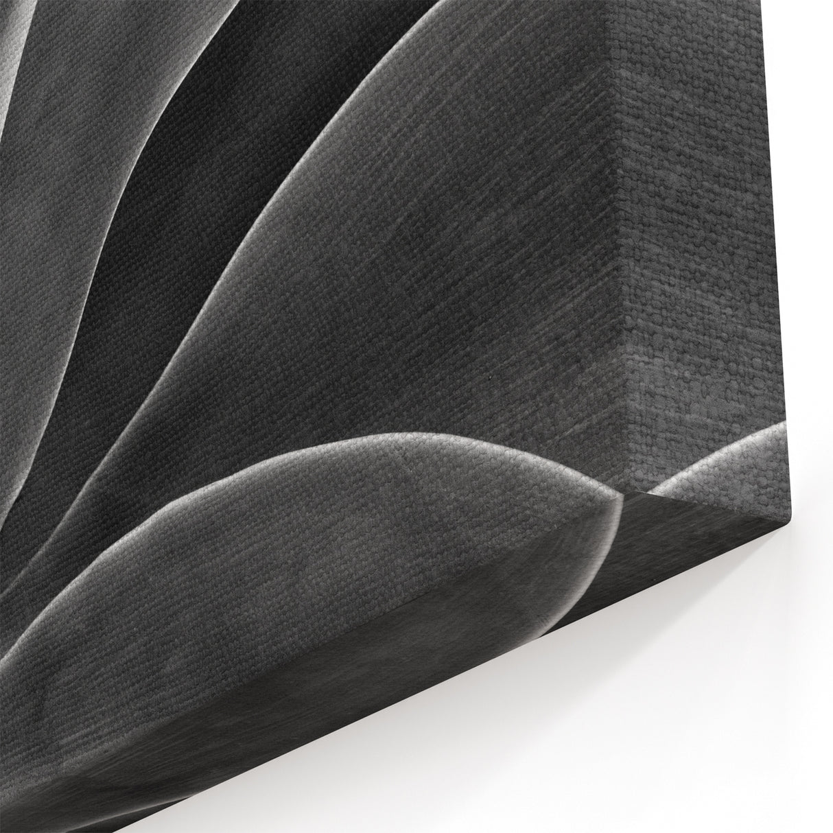 Monochrome Botanical Wall Art - Close-Up Plant Photography for Decor