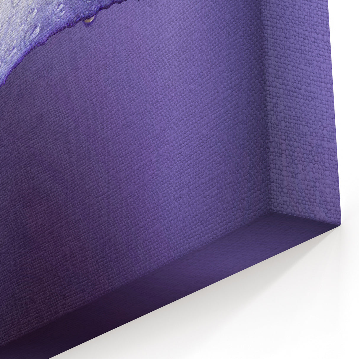 Delicate Purple Petal with Water Droplets - Nature Close-Up Wall Art