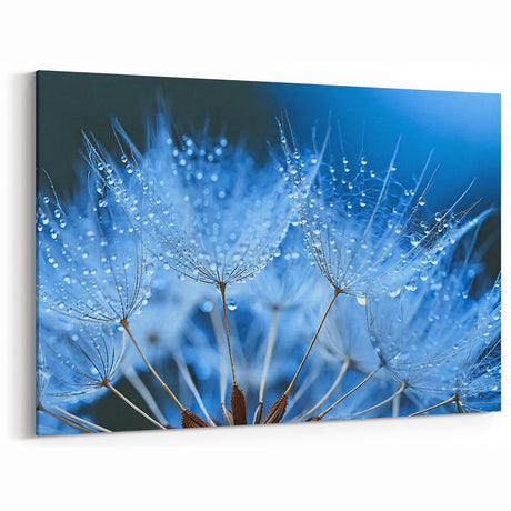 Elegant Dandelion with Water Droplets Close-Up - Nature Wall Art Decor