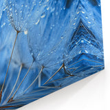 Elegant Dandelion with Water Droplets Close-Up - Nature Wall Art Decor