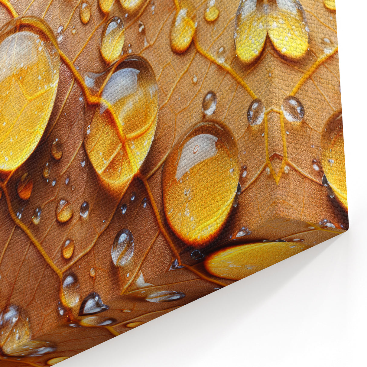 Nature Close-Up Water Droplets Wall Art - Scenic Water-Themed Canvas Print