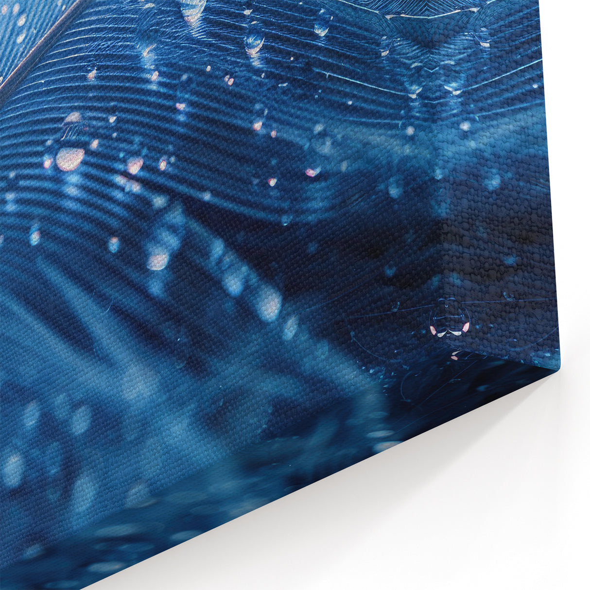 Blue Feather Water Art - Nature Close-Up Water-Themed Canvas Print