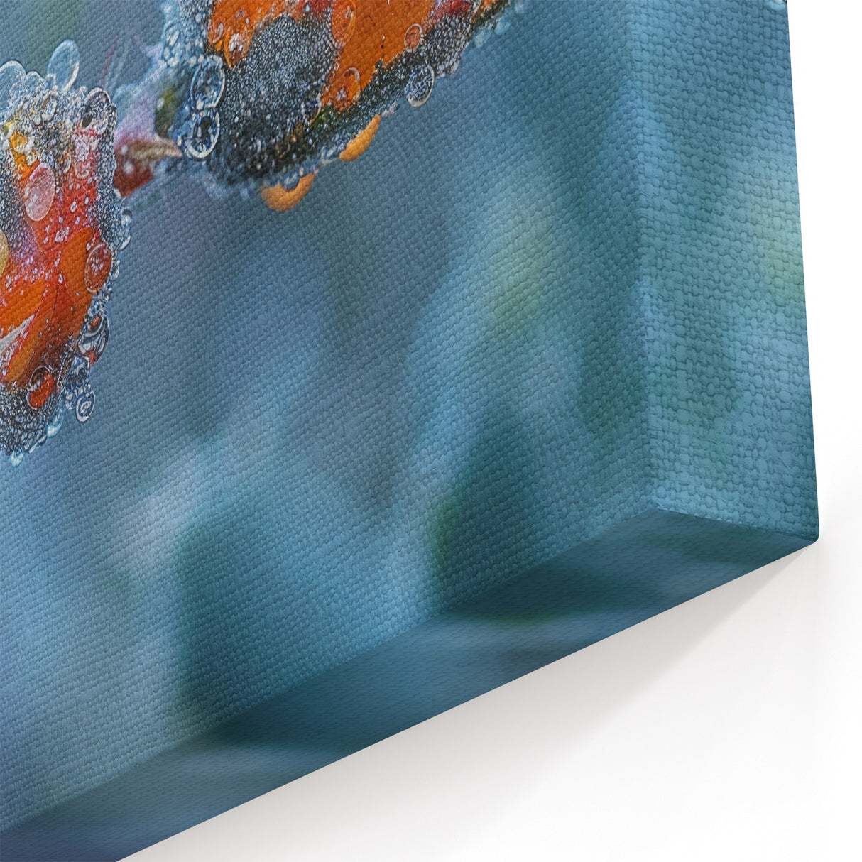 Frozen Blossoms: Ice and Frost Art – Vibrant Nature Close-Up Wall Decor