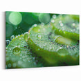 Nature Close-Up Water Art: Dewy Green Serenity – Water-Themed Wall Decor