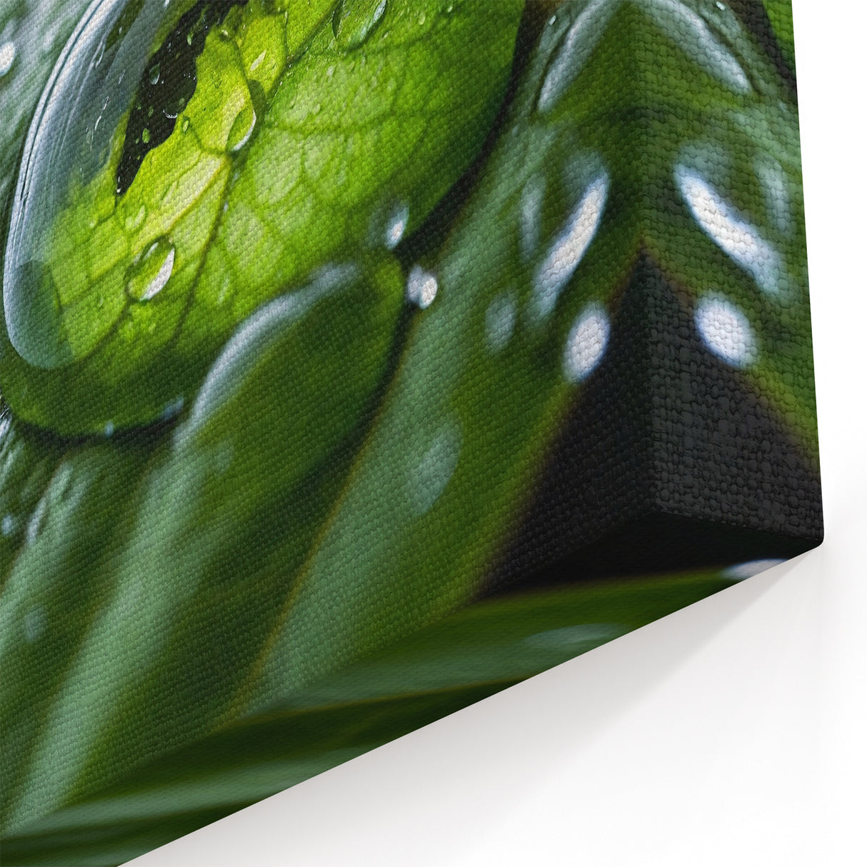 Nature Close-Up Water Photography – Stunning Leaf and Water Art Print