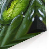 Nature Close-Up Water Photography – Stunning Leaf and Water Art Print