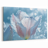 Frosted Petals in Bloom: Ice and Frost Art – Winter Nature Close-Up