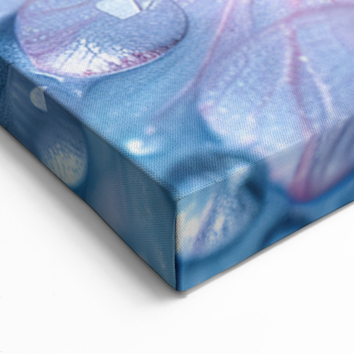 Nature Close-Up Water Wall Art – Floral Water Photography Canvas Print