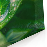 Nature Close-Up Water Art – Water Droplet on Leaf Photography Canvas
