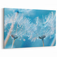 Nature Close-Up Water Art – Dandelion Seed with Dew Photography Wall Decor