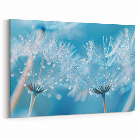 Nature Close-Up Water Art – Dandelion Seed with Dew Photography Wall Decor