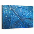 Nature Close-Up Water Art – Blue Feather with Dew Drops Photography Print