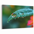 Nature Close-Up Water Art – Leaf with Water Droplets and Color Reflections