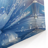 Nature Close-Up Water Art – Dewy Blue Flower Photography Wall Decor