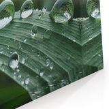 Nature Close-Up Water Art – Dew Drops on Leaf Photography Wall Decor
