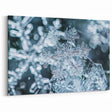 Intricate Snowflakes: Ice and Frost Art – Winter Nature Wall Decor