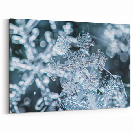 Intricate Snowflakes: Ice and Frost Art – Winter Nature Wall Decor