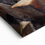 Close-Up Palm Tree Bark Wall Art | Tree Canvas Prints for Home Decor