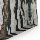 Bark Texture Close-Up Wall Art | Tree Canvas Prints for Modern Decor