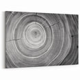 Black and White Tree Ring Wall Art | Nature Canvas Prints for Home Decor