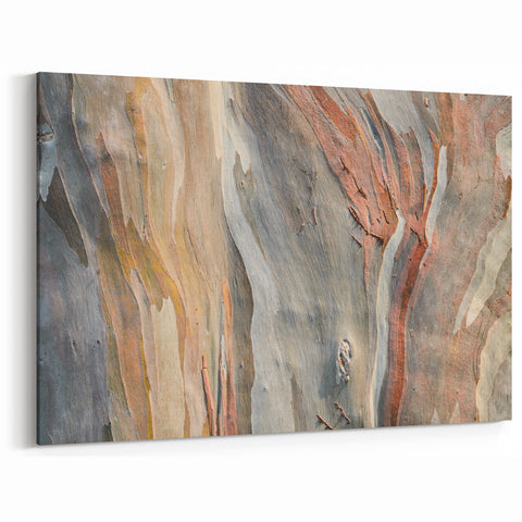 Abstract Tree Bark Wall Art | Nature Canvas Prints for Modern Decor